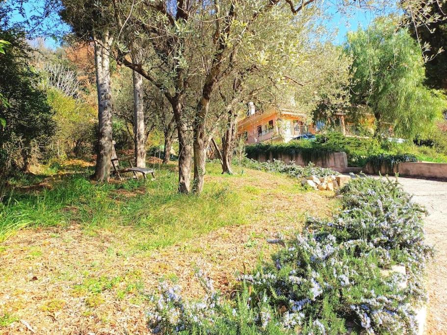 Villa Un Brin De Paille Cagnes-sur-Mer Exterior foto