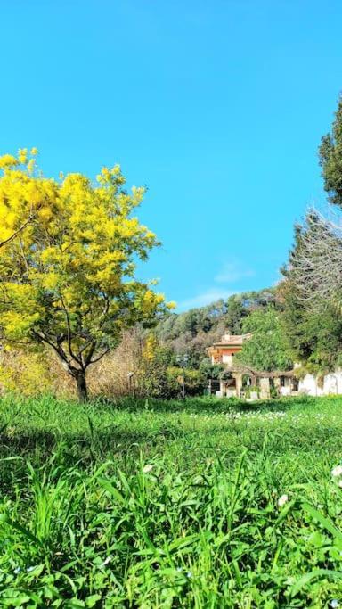 Villa Un Brin De Paille Cagnes-sur-Mer Zimmer foto